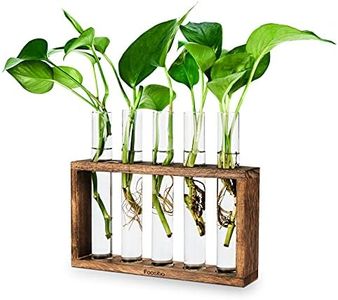 Foosibo Plant Terrarium with Wooden Stand, Wall Hanging Glass Planter Propagation Stations Flower Bud Vase with 5 Test Tubes, Tabletop Glass Terrarium for Propagating Hydroponics Plants (5 Tubes)