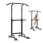Pull-up Bar and Dip Station Power T
