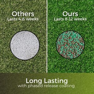 Garden Lawncare Guy Autumn/Winter Lawn Fertiliser – Fast Acting, Pet Safe