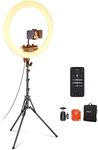 NEEWER 18 inch Ring Light with Tripod Stand and Phone Holder, Ultra Thin Video Ringlight 2900K-7000K TLCI98 App Control, Softer Lighting for Lash Tattoo Makeup Live Stream TikTok, RP18B Pro White