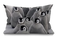 BGBDEIA Lovely Funny Penguins South Pole Cushion Cover Lumbar Pillow Covers Home Decorative Cotton Linen Pillow Case for Sofa Couch Housewarming Gifts Family Room Décor 30 x 50 cm 12 x 20 Inch