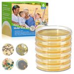 Mold Test Kit for Home-6 Simple Detection Tests，Test HVAC System,Home Surfaces,Indoor Air Quality Testing Kits，DIY Black Mold Detector at Home，Includes Detailed Mold Identification Guide