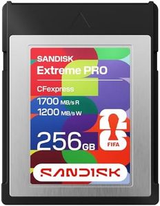 SANDISK 25