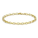 Carissima Gold Women's 9 ct Yellow Gold Hollow 4 mm Oval Belcher Chain Bracelet of Length 18 cm/7 Inch