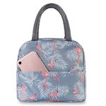 DWE Lunch Bag, Insulated Lunch Bag Cooler Bag Portable Thermal Lunch Bags Organizer Tote Bag for Women Adults Kids Work School Picnic (Flamingo)