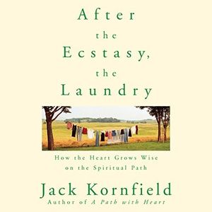 After the Ecstasy, the Laundry: How the Heart Grows Wise on the Spiritual Path