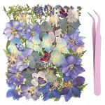 NATISERAUM 90Pcs Dried Pressed Flowers for Resin with Butterflys, Natural Dry Flowers with Tweezer, Dried Flower for Scrapbooking DIY Art Crafts, Epoxy Resin Jewelry Molds, Candle Making, Nails Décor