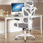 Winrise Office Chair Ergonomic Desk