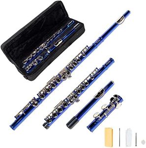 LeSage Closed Hole C Flutes 16 Key Blue Flute for Student Flute Beginner Starter with Flute Case Maintenance Kit Cleaning Cloth C Foot Offset G Y-arm