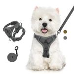 VavoPaw Cat Harness and Leash Set for Walking, Adjustable Kitten Vest Harness with Reflective Strip Breathable Mesh, Escape Proof Soft Pet Safety Vest for Cats, Kittens, Puppies, XL Grey