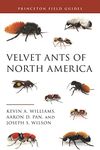 Velvet Ants of North America (Princeton Field Guides)