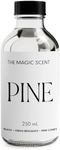 The Magic Scent Pine Aroma Oil - Diffuser Oil Scent - Cold-Air & Ultrasonic Diffuser Oil - Pine Essential Oil - Essential Oils for Diffusers Aromatherapy - Pine Oil - 8.5 fl oz, 250 mL
