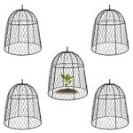 Garden Chicken Wire Cloche for Plants [Set of 5] Garden Cloches Plant Protector and Cover Mesh Plant Cages to Keep Deer and Other Animals Out Garden Large Plant Cloche (Black)