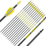 BOWSOUL Carbon Arrows 12pk 100% Pure Carbon Hunting Arrows Target Practice Arrows with Removable Tips for Compound Bow & Recurve Bow (SP400, 30inch)