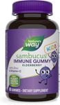 Nature's Way Sambucus Elderberry 60 Gummies for Kids | Immune System Support | Supplement with Vitamin C and Zinc | Gluten Free & Vegetarian