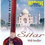 Karuna Sitar Strings (7 Main) with Tarafdar (Sympathetic Strings)