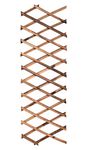 Garden TrellisesExpandable Plant Climbing Lattices Trellis Fence Support 6.5ft × 1ft (0.9 × 200 × 30cm) 0.9cm thickness