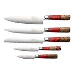 Katana Saya Elements 6-Piece Kitchen Knife Block Set, Volcanic Red, VG-10 Damascus Steel with Olivewood and Resin Handle (KER-600/6B)