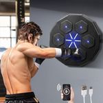 ProPulse Music Boxing Machine, Wall