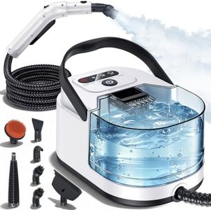 Steam Clea