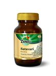 Zandu Satavari Capsules, With Natural Satavari Extracts, Useful for Women's Wellness - 60 Veg Capsules