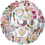 50Pcs Human Body Organ Stickers Pack Medical Anatomy Stickers for Water Bottle Laptop Scrapbook Vinyl Waterproof Stickers for Medic Teens Adults Student Teacher