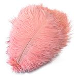 10Pcs/Lot Dyed White Ostrich Feathers Wedding Home Decoration Table Centerpiece Crafts Accessories Carnival Decor-Shrimp Powder 05,20-25cm 8-10inch