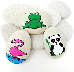 Capcouriers Rocks For Painting 20 Painting Rocks For Rock Painting About 2 - 2.25 inches