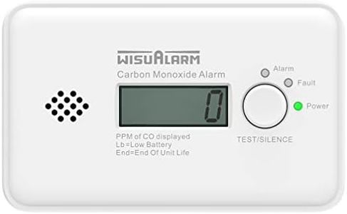 Rilevatore di monossido di carbonio, batteria da 10 anni, allarme CO con display LCD e pulsante test/silenzioso, conforme alla norma EN50291