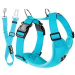 SlowTon Dog Car Harness Seatbelt Set, Dog Vest Harness Adjustable with Breathable Mesh & Vehicle Safety Seat Belt Tether with Elastic Bungee for Small Medium Large Dogs (Tiffany Blue,S)