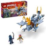 LEGO NINJAGO Young Dragon Riyu Toy Set 71810