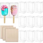 Hacaroa 300 Pieces Clear Popsicle Cakesicle Box Set, 150 Pcs PET Ice Cream Boxes with 150 Pcs Wooden Sticks, 3.7x 2.2x1.5 Inches Candy Treat Box Goody Box Gift for Wedding, Baby Shower, Kids Birthday Party