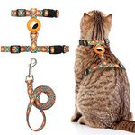 Cat Harness and Leash Escape Proof for Walking Travel Outdoor - Soft Nylon Adjustable Cute Cat Harness Leash Set with Airtag Holder for Small Large Cats