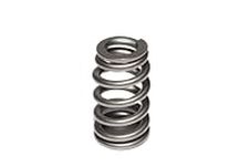 Competition Cams 269181 Valve Spring