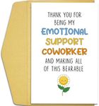 Qiliji Funny Coworker Greeting Card, Coworker Birthday Card, Birthday Card for Colleague, Coworker Thank You Card, Emotional Support Coworker Card