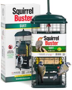 Jacobi Jayne Squirrel-Proof Suet Bird Feeder – Metal, Easy Clean, Hanging