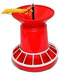 Praish Red Chicken Feeder 4 Kg (Set of 10)
