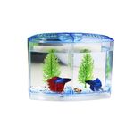 Betta Fish Tank with 2 compartments | Fighter Fish Tank with partition | Suitable only for Small Fishes