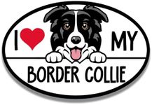 Magnet Me Up I Love My Border Collie Dog Breed Car Magnet Decal, 4x6 inches, Cute Peeking Dog Car Accessories, Alert and Intelligent, Magnetic Vinyl for Car, Truck, Express Affection, Made in USA