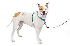 PetSafe 3 in 1 No-Pull Dog Harness 