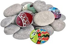 DALTACK 20PCS Large Painting Rocks,