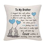 Brother Gift Elephant Throw Pillow Cover for Brother from Sister or Brother Big Little Brother Birthday Gift Hug Gift Thanksgiving Gift (Brother)