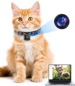 KinetCam Cat Camera Collar for Video Recording - No APP & No WiFi, 1080P Cordless Pet Collar Cameras Outdoor, XS-Size for Cats/Small Dogs -(No SD Card Included)