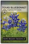 Sow Right Seeds - Texas Bluebonnet 