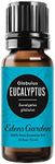 Eucalyptus- Globulus Pure Therapeutic Grade Essential Oil by Edens Garden, White Label, 10 ml