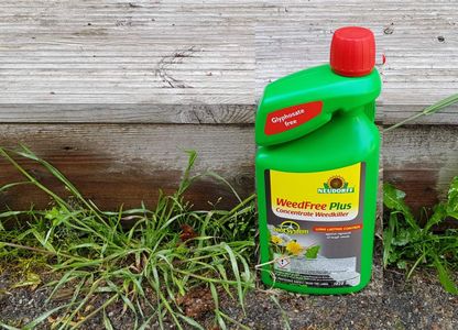 Neudorff Weed Killer Concentrate, 1L – Powerful Garden Herbicide