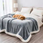 Blanket For Dog Hair