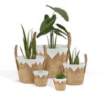 DECOMOMO Plant Basket, 5-Pack Planter Pots for Indoor Plants| Wicker Baskets Storage Organization w/Handle Large Plant Pot for Indoor Plants Pantry Laundry Toys Home Décor (White - 5 Sizes)