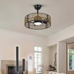 TALOYA 20 Inch Caged Ceiling Fans with Lights Chandelier Remote Control Flush Mount Low Profile for Bedroom Living Room Patio,Reversible,Buzzer Mute,Dimmable Led Light Included,Fandelier,Black