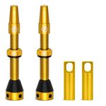 Thinvik Presta Tubeless Valve Stem 44mm,Super Light Alloy Presta Tubeless Valve Stem Kit for Tubeless Tires-2 Tubeless Valve Stem (with Aluminum Alloy Valve Cap) + Valve Core Removal Tool(Gold)